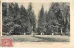 Environs postcard 099