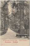 Environs postcard 164