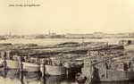 Neva postcard 136
