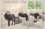 Neva postcard 145