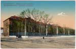 Neva postcard 166