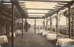 Nevsky postcard 234